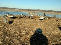 IMG_20170107_150548014.jpg