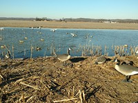 IMG_20170107_150601554.jpg