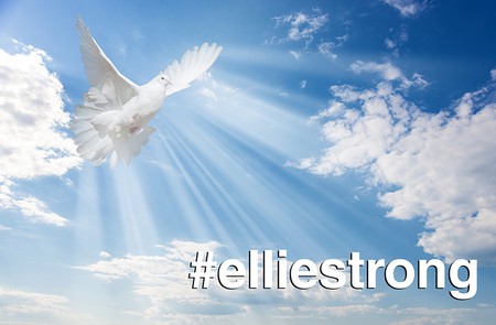 2019 Ellliestrong.jpg